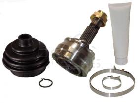 Ponteiras de Homocineticas